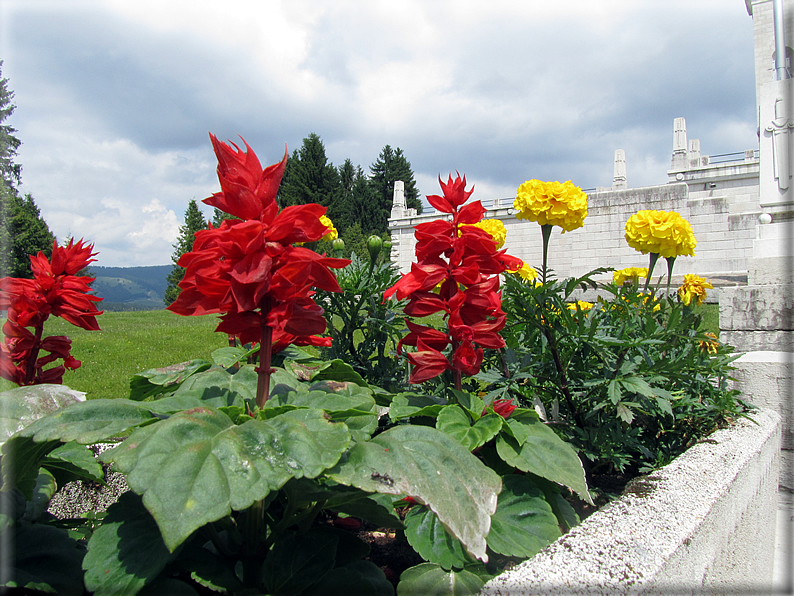 foto Asiago